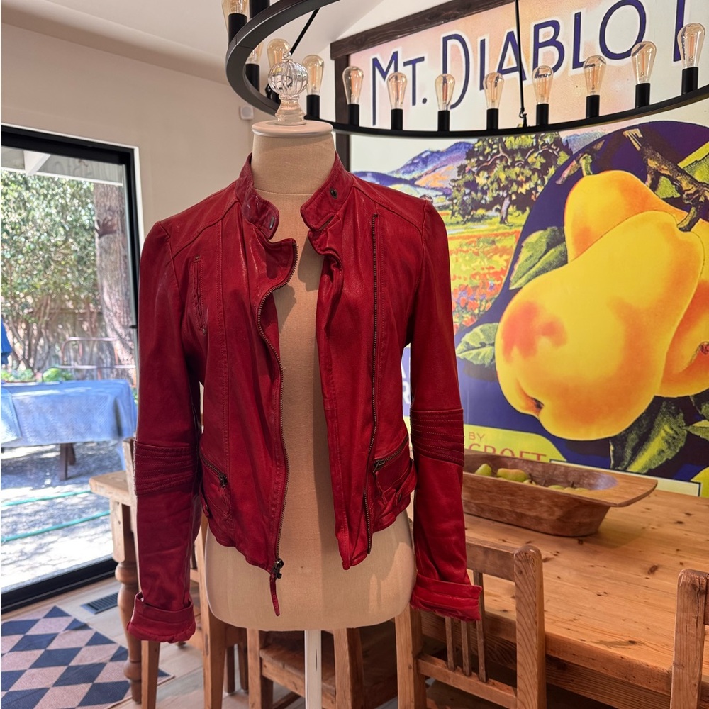 Lucky leather moto jacket.